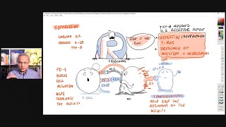 Self Tolerance and Microbe Triggered Autoimmunity T Cell Focus [upl. by Sualokin]