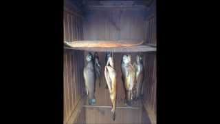 Rookovencom Forel amp Zalm roken [upl. by Colby871]