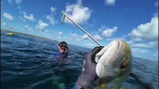 Bahamas Spearfishing with Kumpares  JACK FISH  HOG FISH  GROUPER  TRIGGER FISH  SNAPPER [upl. by Disharoon794]