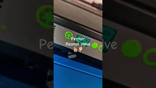 Pentair Peanut valve great or not water softener valve shorts [upl. by Anuahsar658]