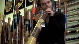 Didgeridoo Lesson  More didgeridoo sounds using your voice [upl. by Ennairej]