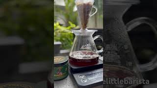 REVIEW KOPI Ijen Lestari Carbonic Maceration Lot 38  The Espresso Embassy Jakarta [upl. by Ydda647]