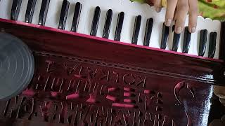 harmonium playingdil hai kya manta nehi harmonium viral [upl. by Adnaloy]