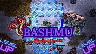 💎Hunt Bashmu Salt cave💎  Elder Druid Lv 600 Double Exp amp Skill [upl. by Buffo]