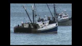 Fishing For World Famous Digby Scallops In The Annapolis Basin [upl. by Aiouqahs262]