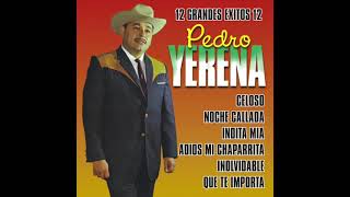 Pedro Yerena  12 Grandes Exitos Disco Completo [upl. by Elita162]