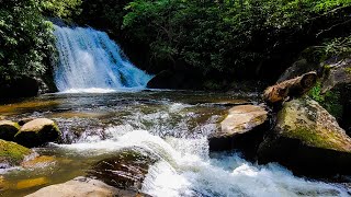 Hiking to Yellow Creek Falls near Robbinsville NC [upl. by Ihcehcu]