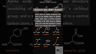 Unlocking Health Secrets LArginine BCAAs and Lysine Explained youtube healthandwellness [upl. by Aicen613]