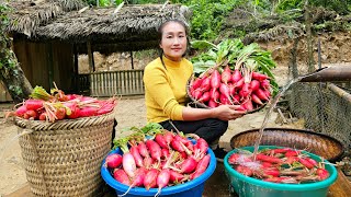 FULL VIDEO Harvest red radish sweet potato eggplant bananas  Cooking farm building house [upl. by Onailimixam]