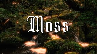 Eleri Ward  Moss Lyric Video [upl. by Orville298]