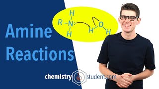 Amines  Reactions ALevel IB Chemistry [upl. by Christophe]