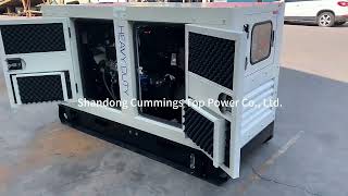 silent electric generator 40kva diesel generator price with weifang Ricardo engine 30kw generator [upl. by Morita]