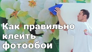 Как правильно клеить фотообои  СИМФОНИЯ [upl. by Portwin]