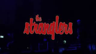 The Stranglers live in Aberdeen 2022 [upl. by Llehsor]