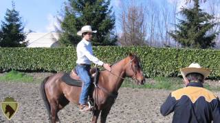 Corso di Barrel Racing  SEF Italia [upl. by Amrak837]