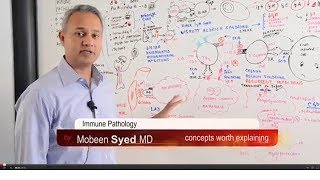 Immunology Lecture 19 Immune Pathology [upl. by Neuberger699]