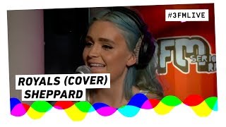 Sheppard  Royals Lorde cover  3FM Live [upl. by Lundquist]