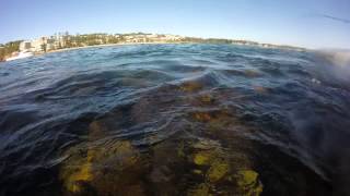 Terrigal haven sharks [upl. by Pell]