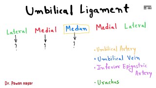 Umbilical Ligament  NEET PG 2023 Recall  Dr Pawan nagar [upl. by Odericus]