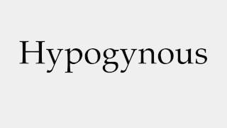 How to Pronounce Hypogynous [upl. by Pufahl291]