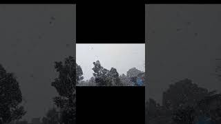 Stock trading ke sath Snowfall ka majasnowfall nature mukteshwar nainital uttarakhand nifty [upl. by Nered]