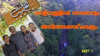 Elixir hills Resort  Best resort in Munnar  Best 5 star hotel in Munnar [upl. by Attelrahc]