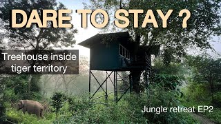 Treehouse inside tiger territory  No other humans around  Wayanad forest stay  Jungle retreat EP2 [upl. by Haim]