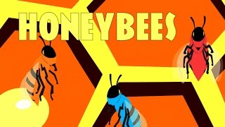 Honeybees And Bumblebees Song Music Video with Lyrics  EdisonSecretLab [upl. by Allak353]