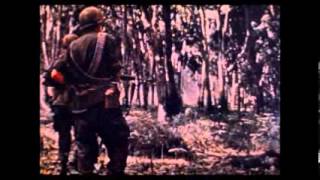 My Tour in Vietnam 1969 70 [upl. by Kcod913]