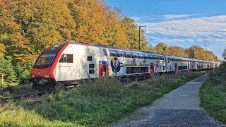 IR 75 nach Konstanz bei Kreuzlingen Bernrain TG [upl. by Crisey]