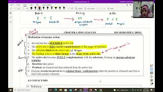 Biocatalysis Part 2 Mechanism of Enzyme Action [upl. by Auguste]