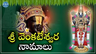 Venkateswara Namalu  Lord Venkateswara Devotional Songs 2024  IDream Music [upl. by Nanahs44]