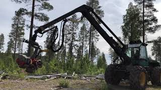 Köp Gallringsskördare Timberjack 870 B på Klaravikse [upl. by Enneira]