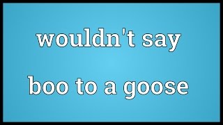 Wouldnt say boo to a goose Meaning [upl. by Quintus]