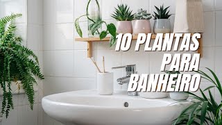 10 PLANTAS PARA TER NO SEU BANHEIRO [upl. by Kaine]