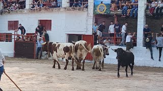 Villaverde del Guadalimar Primer encierro 2024 [upl. by Lieberman528]