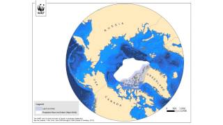 WWF’s Last Ice Area [upl. by Aigroeg]