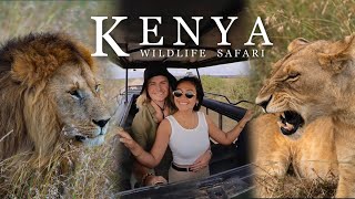 Our LION SAFARI ENCOUNTER The BEST Wildlife Safari in Africa Masai Mara Kenya [upl. by Shulamith]