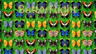 ButterFlight by Absolutist Windows game 2003 [upl. by Ahsetel192]