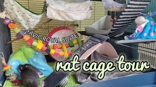 Rat Cage Tour  Savic Royal Suite 95 Double  DIY Pets amp Life [upl. by Luane]