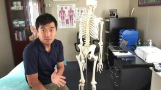 Are you suffering hamstring pain thats wont go away  Heres an easy explanation [upl. by Wynn443]