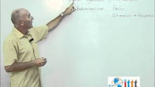 Natural Learning Teaching English [upl. by Ahtivak796]