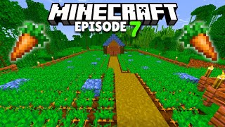 I MADE A BIGGEST CARROT FARM  MINECRAFT  7 [upl. by Monney]