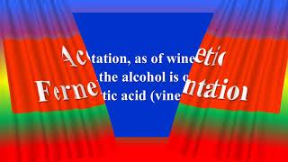 Acetic Fermentation [upl. by Abelard730]