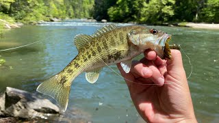 Fishing for Bartram’s Bass in North Georgia [upl. by Nowaj]