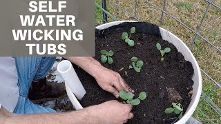 Self Water Wicking Tubs  Spring Garden Planting [upl. by Eckmann]