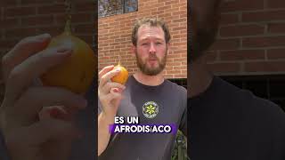 🇨🇴🥒🍊🍍🍈🇨🇴Ep 1 Granadilla frutascolombianas frutas bogota paloquemado colombia🇨🇴 [upl. by Nodnnarb500]