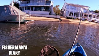 Noosa Canals Plastics Fishing  Fishermans Diary Ep 758 [upl. by Marka855]