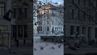 Zürich Stadelhofen Bahnhof foryou travel switzarland viewsviralvideosubscribersgro winter [upl. by Karub]