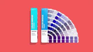 How to find Pantone color code in Illustrator [upl. by Ilatfan]